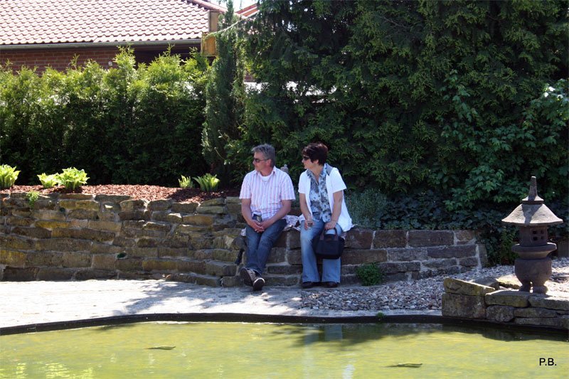 photo41.jpg