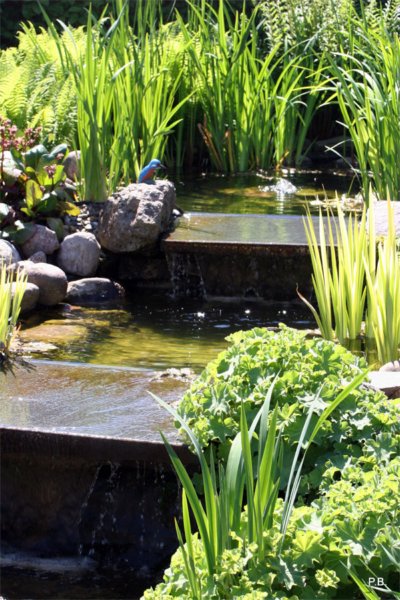 photo45.jpg